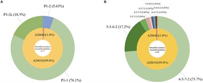 Increased macrolide resistance rate of Mycoplasma pneumoniae correlated with epidemic in Beijing, China in 2023